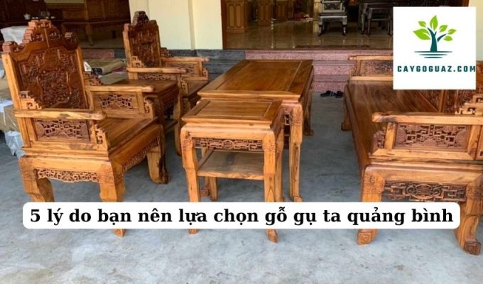 5 lý do bạn nên lựa chọn gỗ gụ ta quảng bình