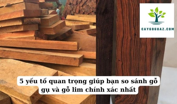 5 yếu tố quan trọng giúp bạn so sánh gỗ gụ và gỗ lim chính xác nhất