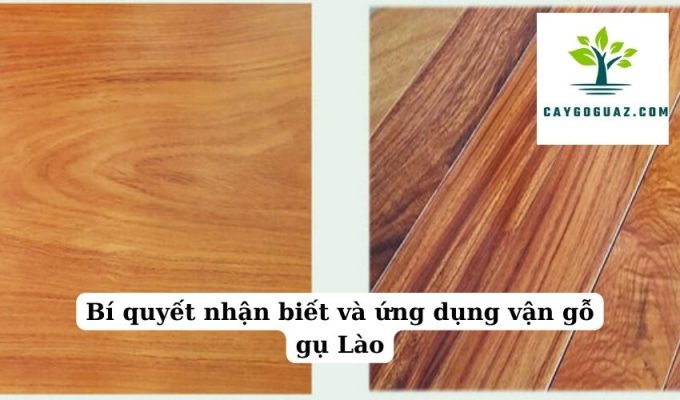 Bí quyết nhận biết và ứng dụng vận gỗ gụ Lào