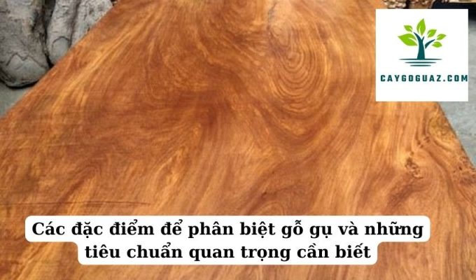 Các đặc điểm để phân biệt gỗ gụ và những tiêu chuẩn quan trọng cần biết