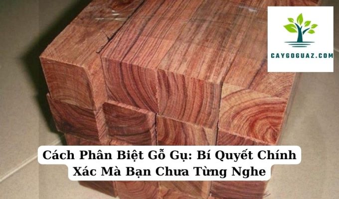 Cách Phân Biệt Gỗ Gụ Bí Quyết Chính Xác Mà Bạn Chưa Từng Nghe