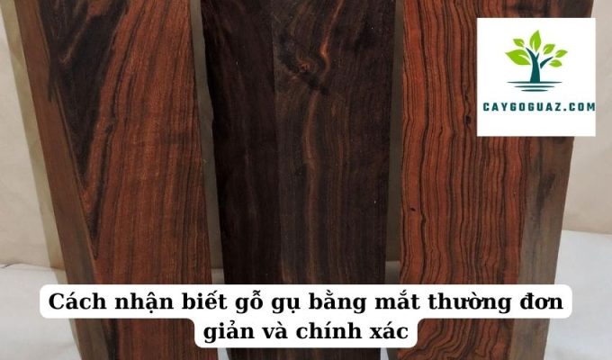 Cách nhận biết gỗ gụ bằng mắt thường đơn giản và chính xác