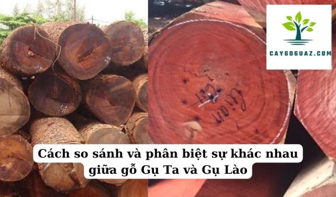 Cách so sánh và phân biệt sự khác nhau giữa gỗ Gụ Ta và Gụ Lào