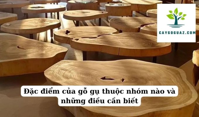 Đặc điểm của gỗ gụ thuộc nhóm nào và những điều cần biết