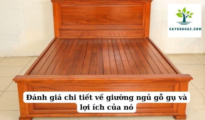 Đánh giá chi tiết về giường ngủ gỗ gụ và lợi ích của nó