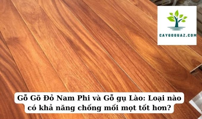 Gỗ Gõ Đỏ Nam Phi và Gỗ gụ Lào Loại nào có khả năng chống mối mọt tốt hơn