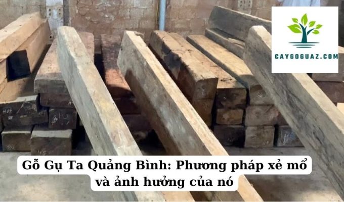 Gỗ Gụ Ta Quảng Bình Phương pháp xẻ mổ và ảnh hưởng của nó