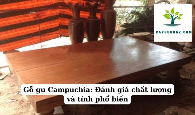 Gỗ gụ Campuchia Đánh giá chất lượng và tính phổ biến