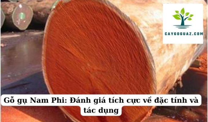 Gỗ gụ Nam Phi Đánh giá tích cực về đặc tính và tác dụng