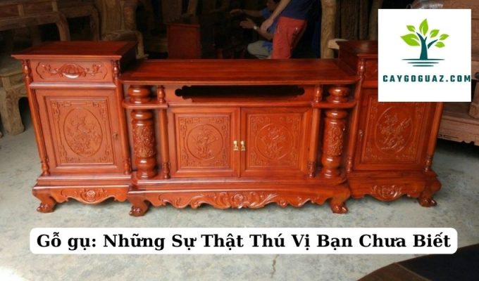 Gỗ gụ Những Sự Thật Thú Vị Bạn Chưa Biết