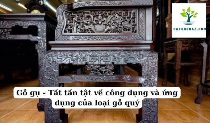 Gỗ gụ - Tất tần tật về công dụng và ứng dụng của loại gỗ quý