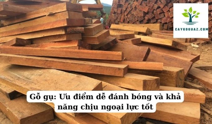 Gỗ gụ Ưu điểm dễ đánh bóng và khả năng chịu ngoại lực tốt