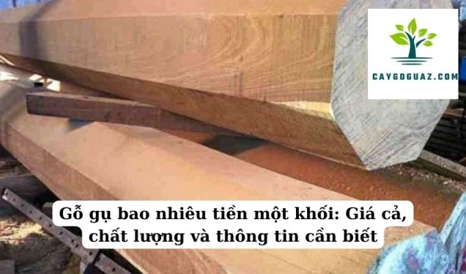 Gỗ gụ bao nhiêu tiền một khối Giá cả, chất lượng và thông tin cần biết