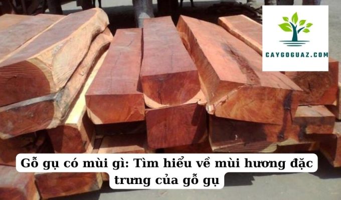 Gỗ gụ có mùi gì Tìm hiểu về mùi hương đặc trưng của gỗ gụ