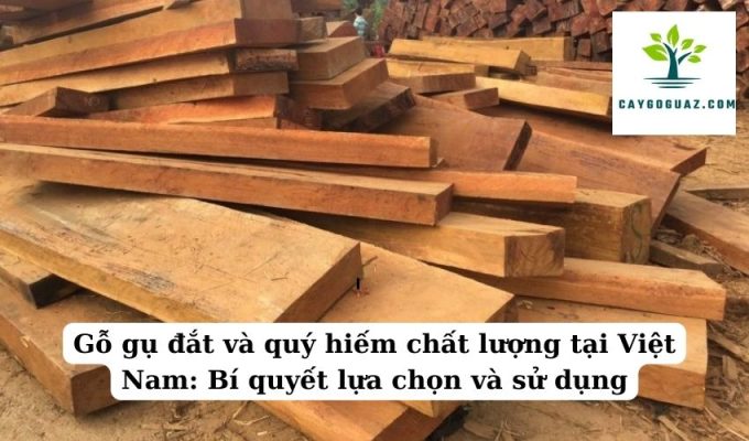 Gỗ gụ đắt và quý hiếm chất lượng tại Việt Nam Bí quyết lựa chọn và sử dụng