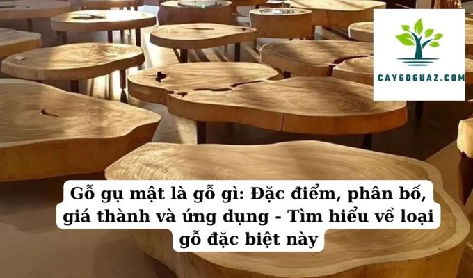 Gỗ gụ mật là gỗ gì Đặc điểm, phân bố, giá thành và ứng dụng - Tìm hiểu về loại gỗ đặc biệt này