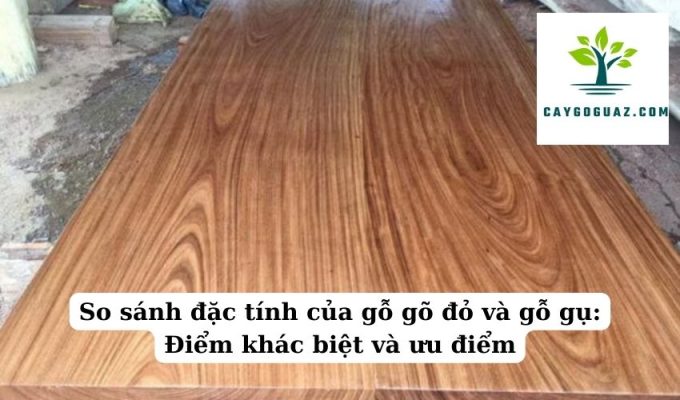 So sánh đặc tính của gỗ gõ đỏ và gỗ gụ Điểm khác biệt và ưu điểm