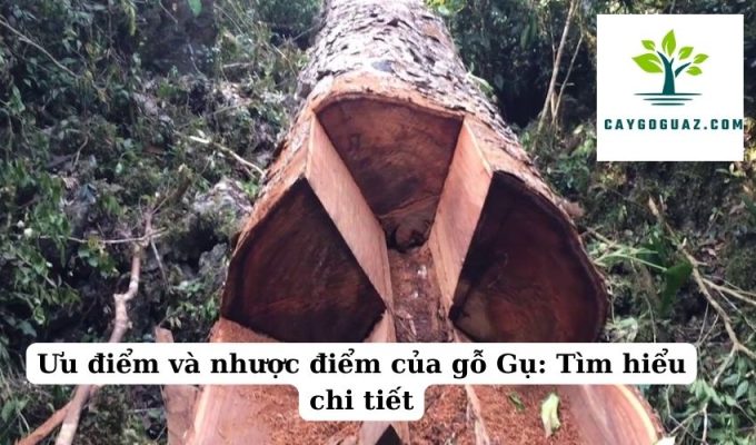 Ưu điểm và nhược điểm của gỗ Gụ Tìm hiểu chi tiết