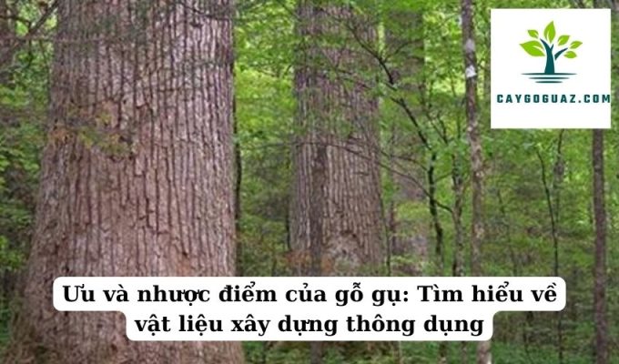 Ưu và nhược điểm của gỗ gụ Tìm hiểu về vật liệu xây dựng thông dụng